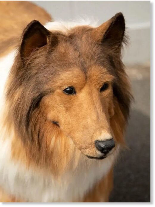 His hyperrealistic dog costume cost $20,000.His hyperrealistic dog costume cost $14,000.