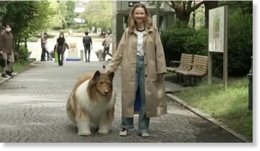 He recently embarked on his first public walk.He recently embarked on his first public walk.
