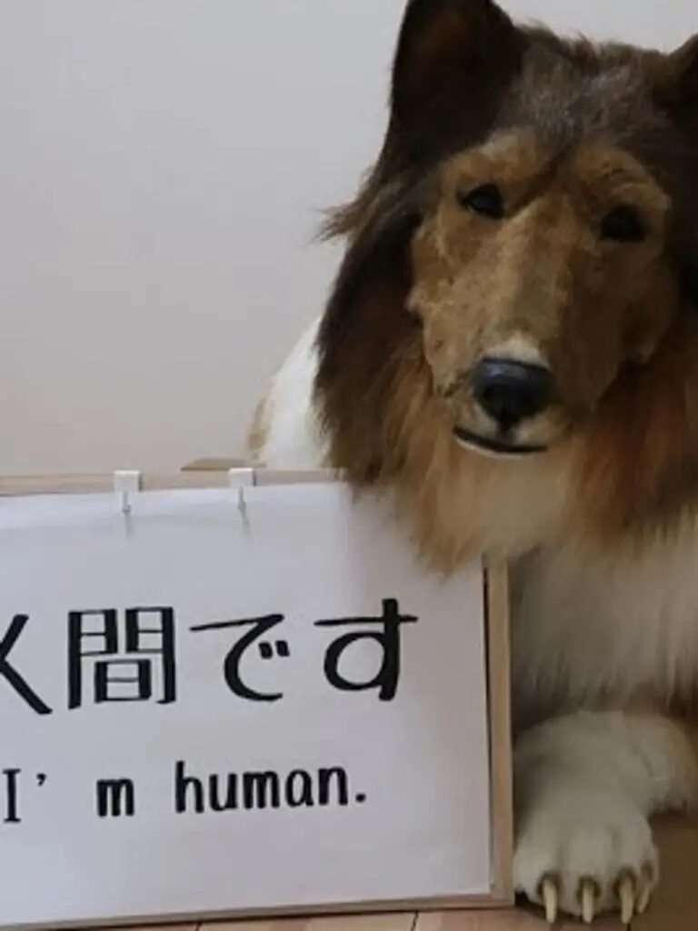 Toco sits with a sign that reads 