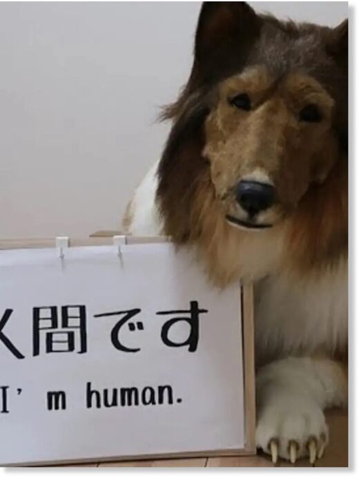 Toco sits with a sign that reads 