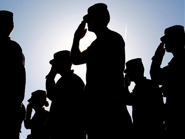 Click to enlarge soldiers salute
