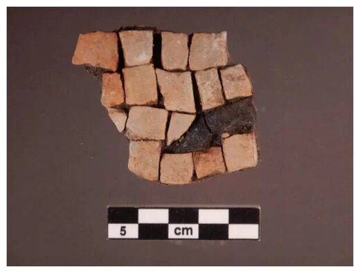 Fragments of black and white mosaics.