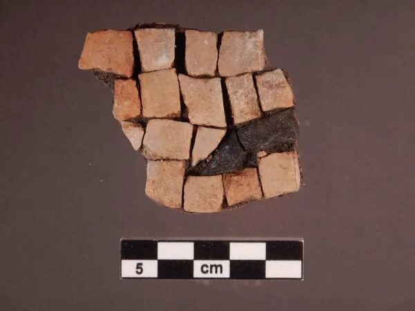 Click to enlarge Fragments of black and white mosaics.