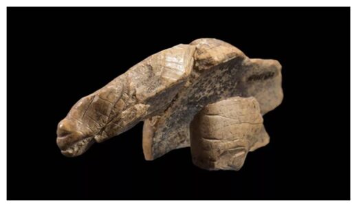 enigmatic animal carving
