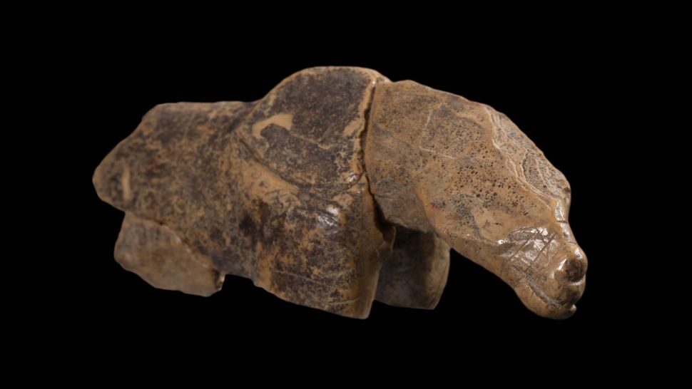 Click to enlarge cave lion or a cave bear?