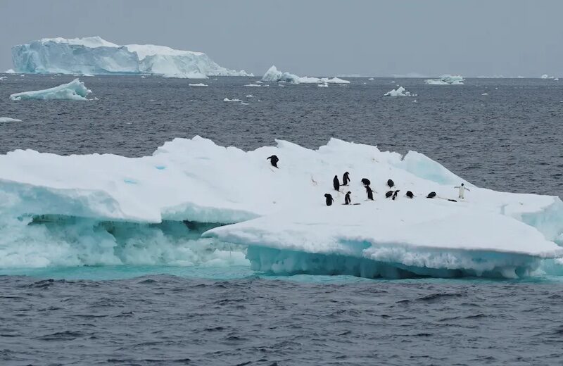 iceburg