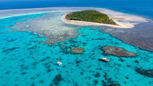 great barrier reef