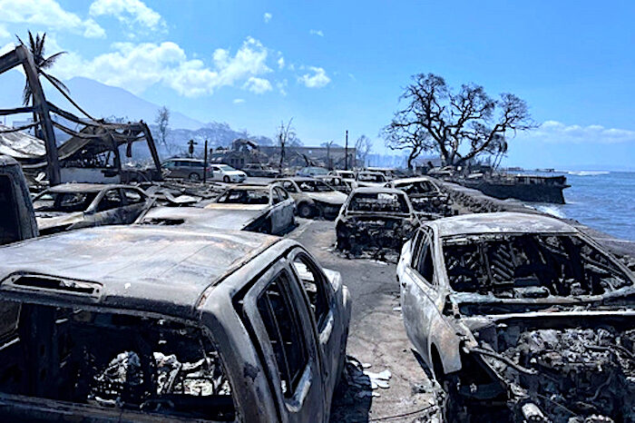Click to enlarge burnt cars