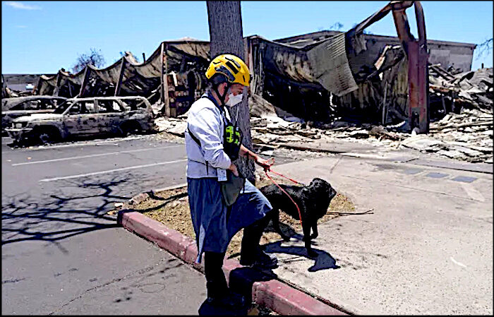 Click to enlarge Dog and handler