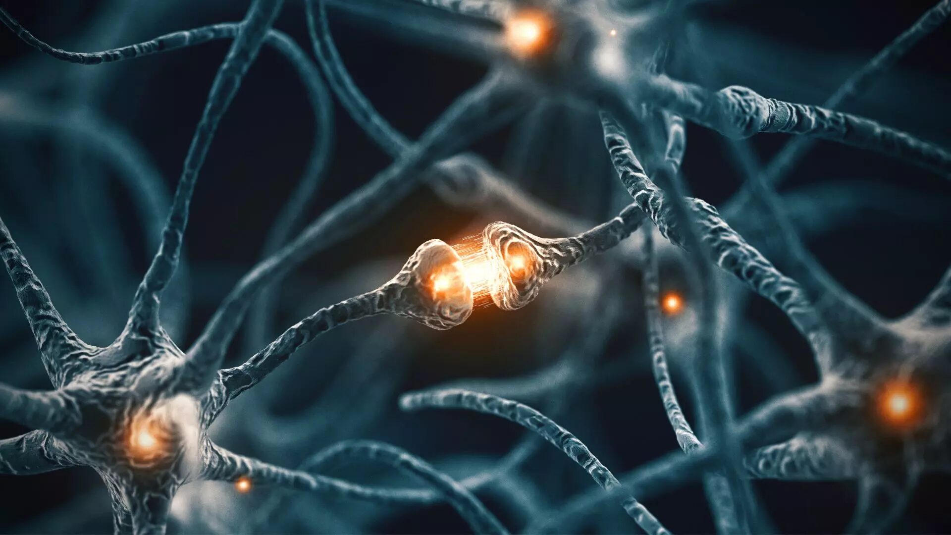 neurons