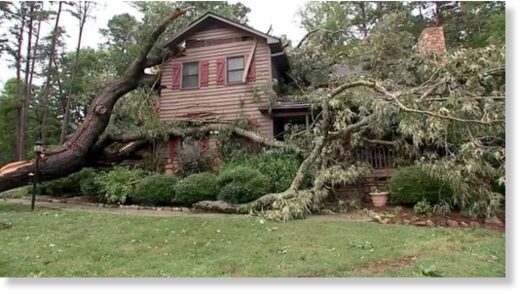 A tree fell onto a house in Hillsborough, N.C., after severe storms hit the region, Aug. 15, 2023.