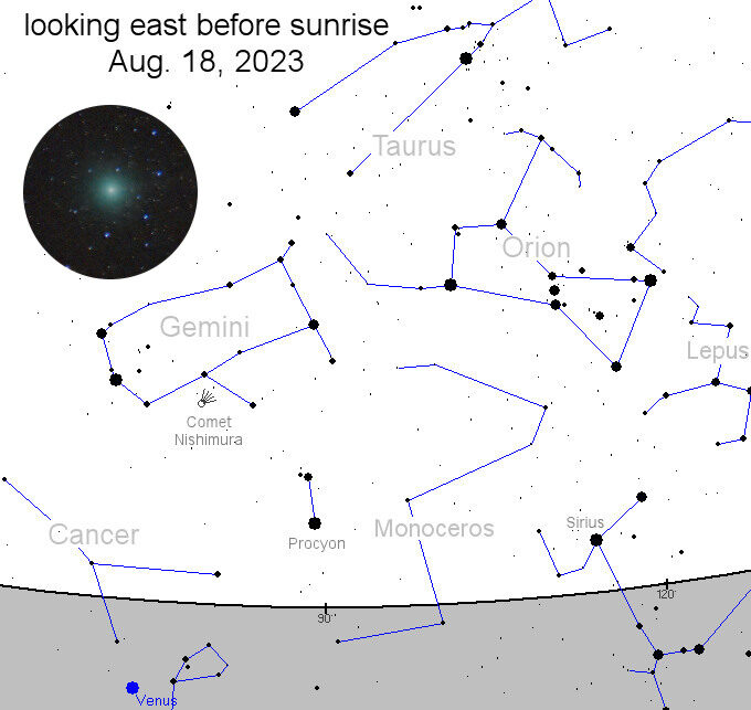 Comet C/2023 P1