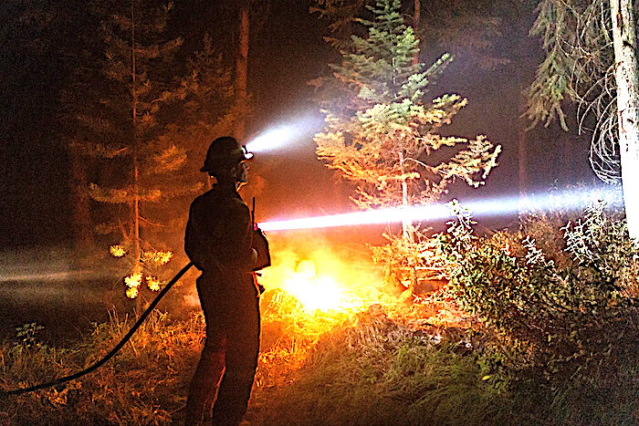 Click to enlarge fire woods