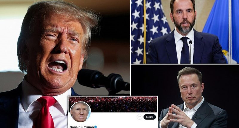trump smith musk private dms twitter