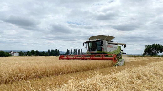 Turbulence in global food markets: soaring costs, export bans, supply chain issues