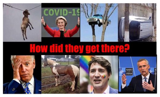 Idiots in Charge