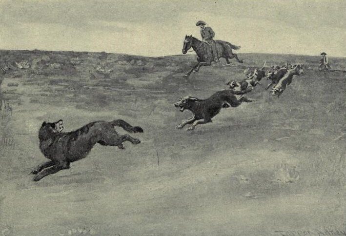 Roosevelt