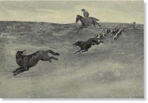 Click to enlarge Roosevelt