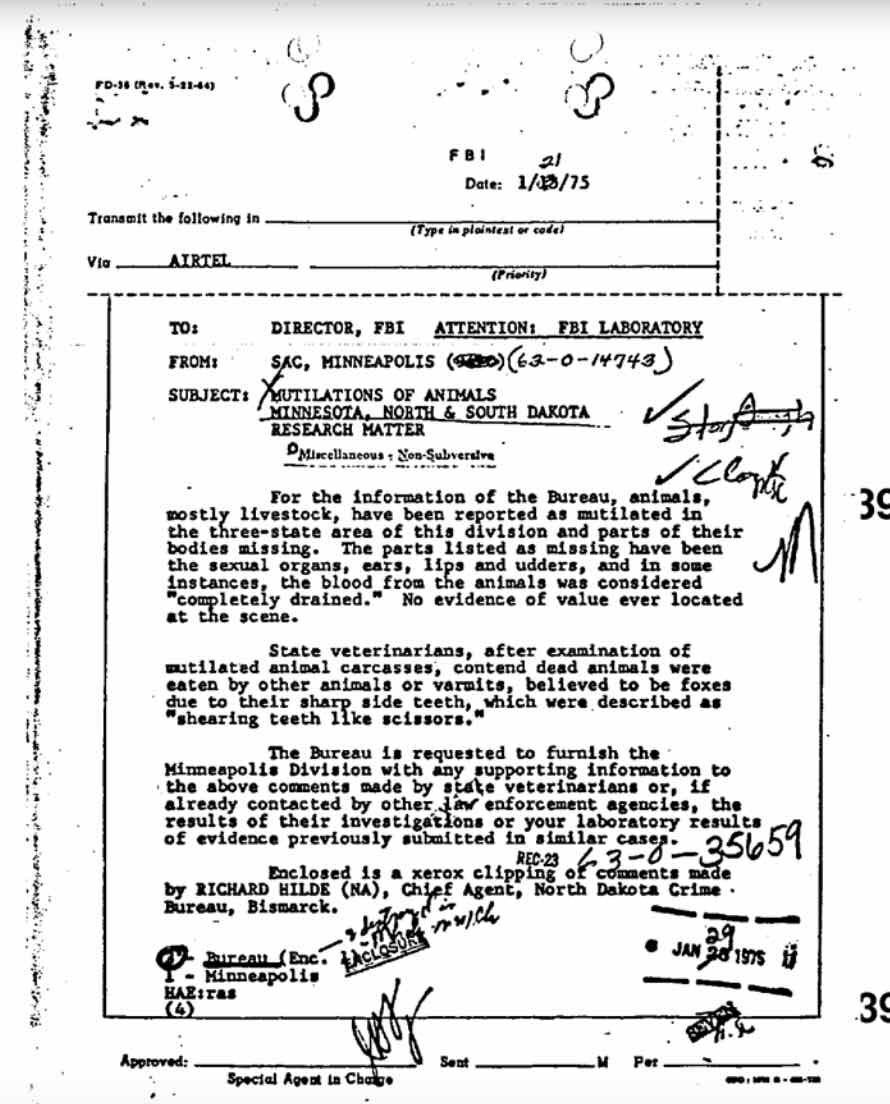 FBI cattle