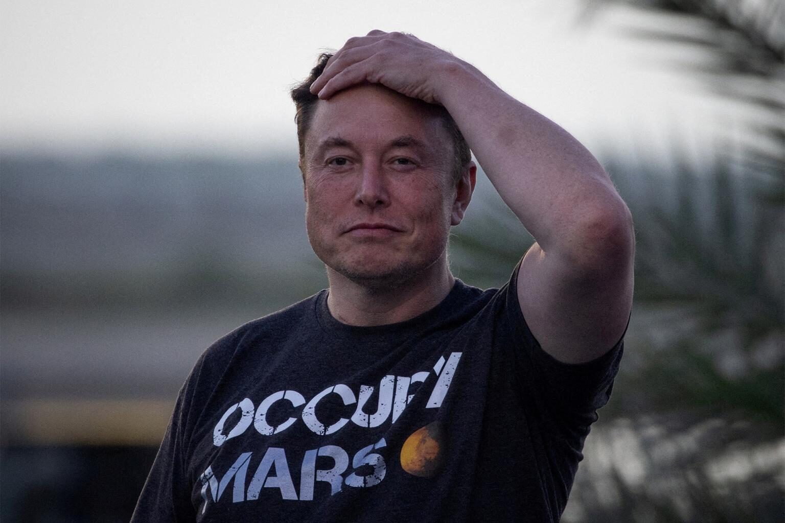 Click to enlarge Elon Musk
