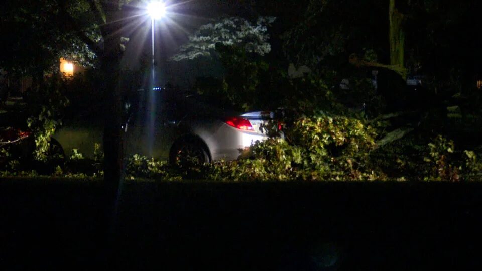 A tree was downed in storms in Lansing, Michigan, on Friday, August 25.