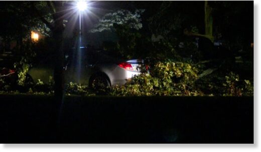 A tree was downed in storms in Lansing, Michigan, on Friday, August 25.