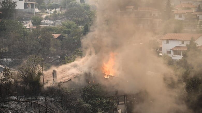 A house is shown burning during a wildfire in Avanta, near Alexandroupolis, in northern Greece. Hot, dry and windy conditions have seen dozens of wildfires break out across the country.