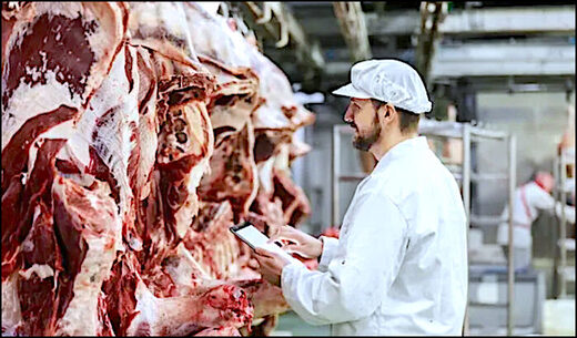 Meat