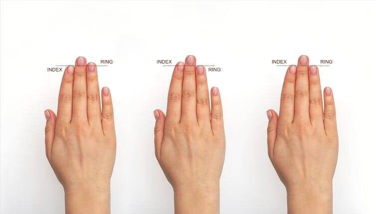 Click to enlarge Finger Length