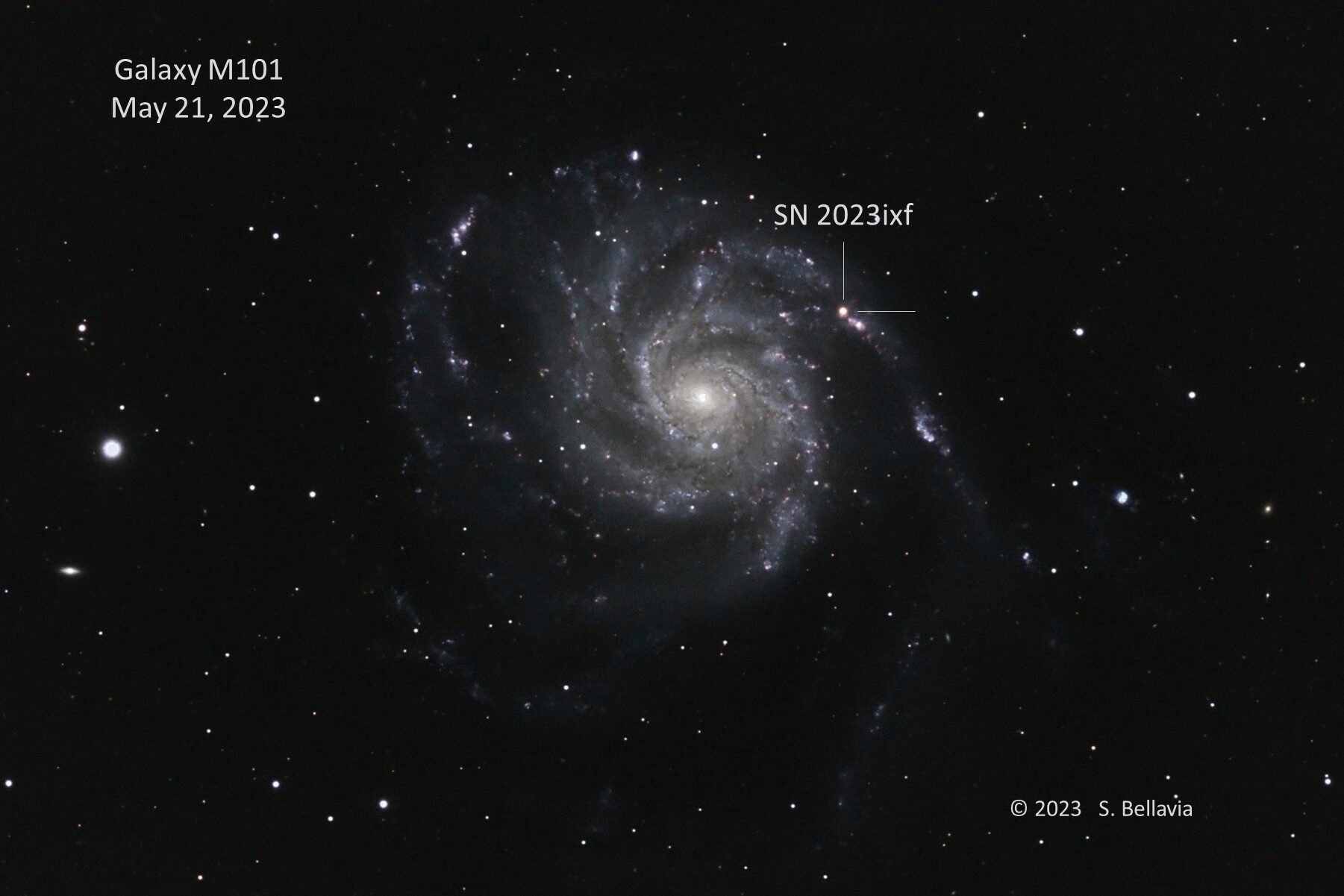 supernova 2023ixf