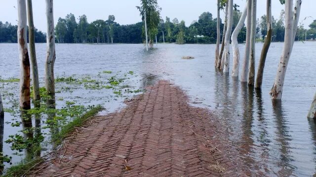 The photo shows an inundated area of Kurigram on Wednesday, August 30, 2023.