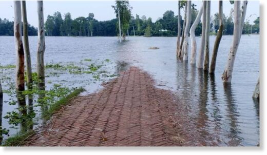 The photo shows an inundated area of Kurigram on Wednesday, August 30, 2023.