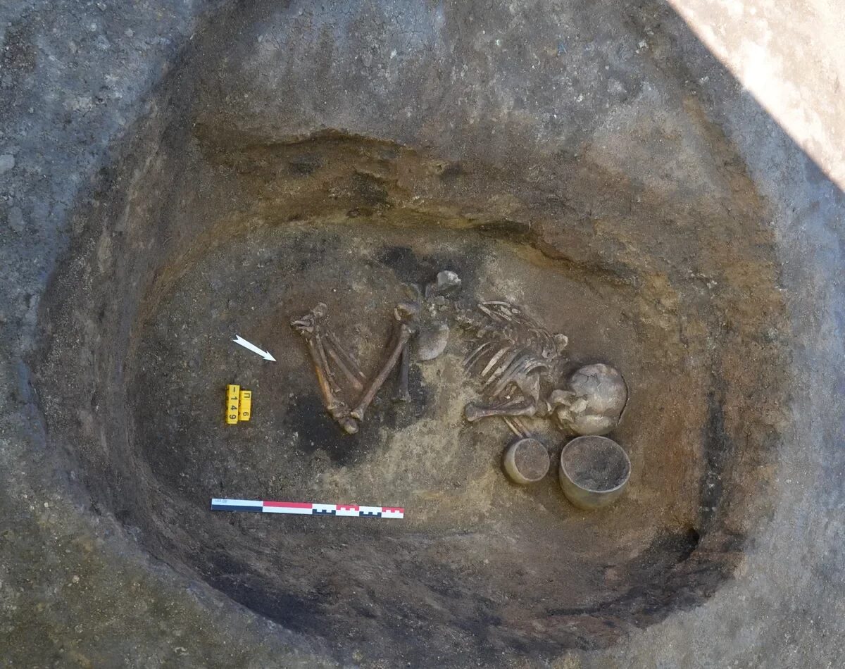 Ancient Skeleton