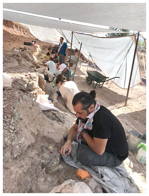 Click to enlarge Çorakyerler excavation site