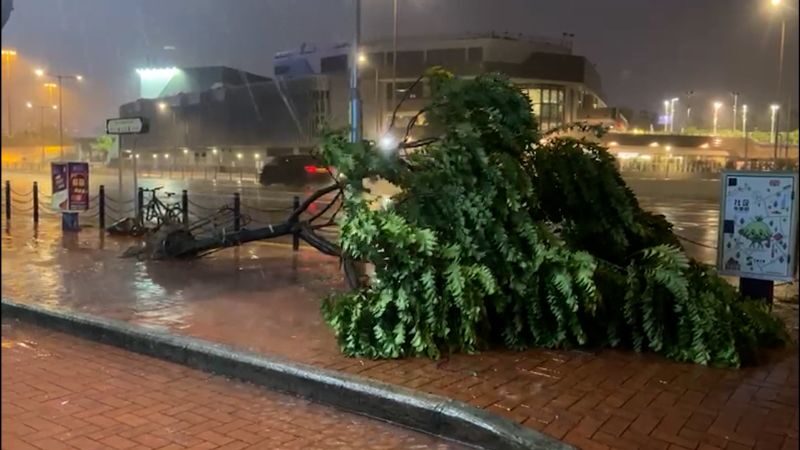 Schools and businesses closed while hundreds of