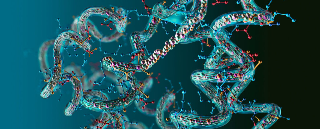 amino acid sequence