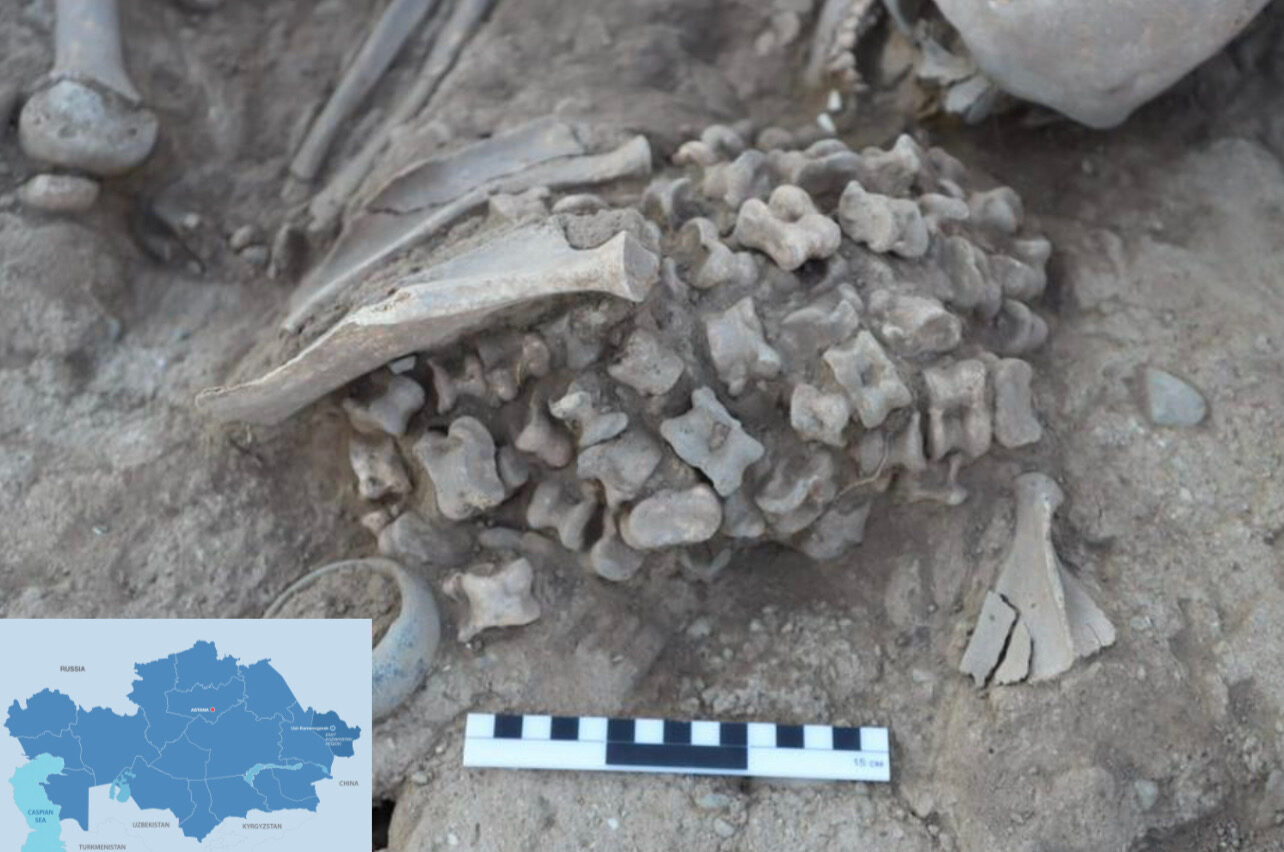 Ancient Bones