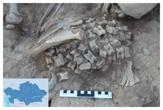 Ancient Bones