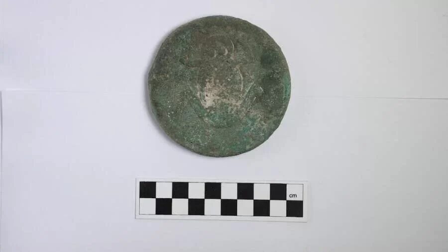 Click to enlarge Frog Disc