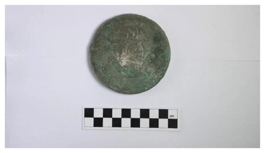 Click to enlarge Frog Disc