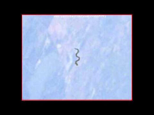 snake ufo shuttle mission STS-61