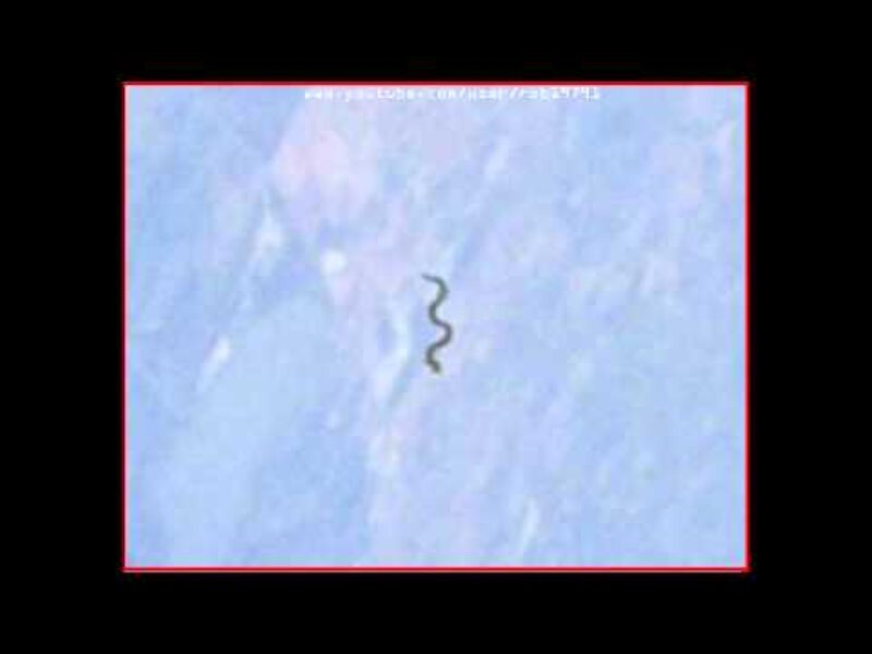 snake ufo shuttle mission STS-61