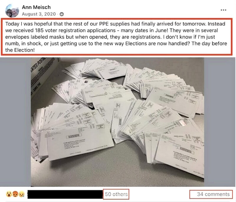 Click to enlarge ann meish post michigan late voter registration