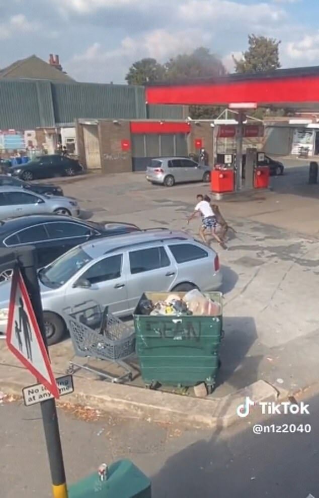 Click to enlarge He is chased onto a petrol station forecourt where he was attacked before the animal is hit and stops the attack