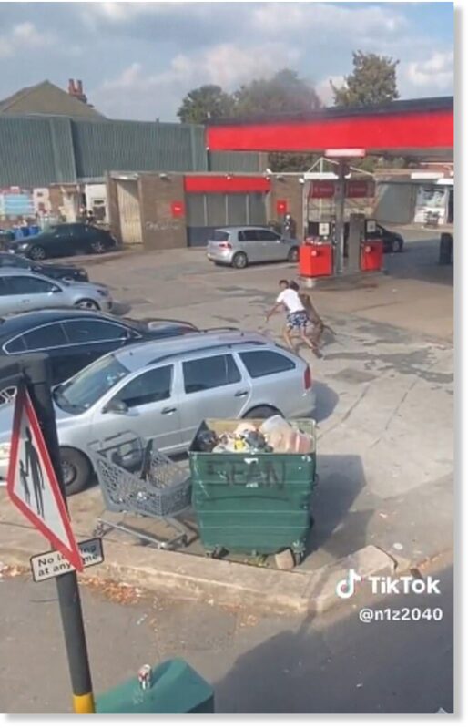 Click to enlarge He is chased onto a petrol station forecourt where he was attacked before the animal is hit and stops the attack