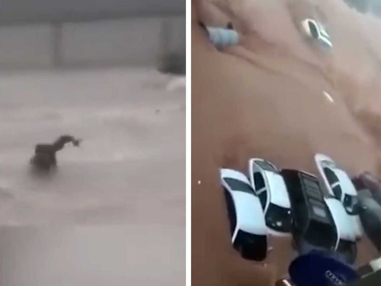 A man being swept away by flood waters and submerged cars in Al Bayda.