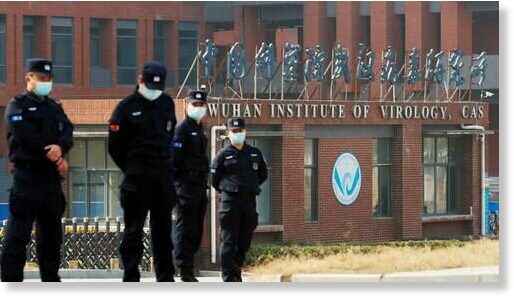 wuhan institute