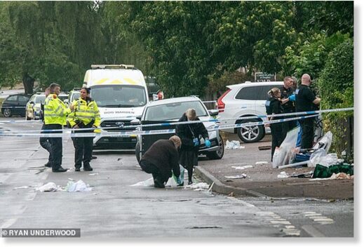 The man was brutally mauled by two dogs outside a primary school in Stonnall, Staffordshire (emergency services are pictured after the attack)