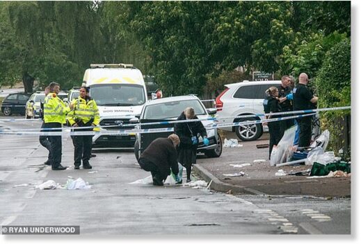Click to enlarge The man was brutally mauled by two dogs outside a primary school in Stonnall, Staffordshire (emergency services are pictured after the attack)