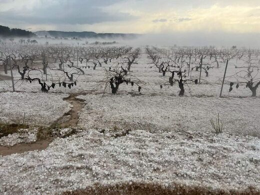 Hailstorm affected 22,000 hectares of crops in Valencia, Spain causing more than 43 million euro in losses